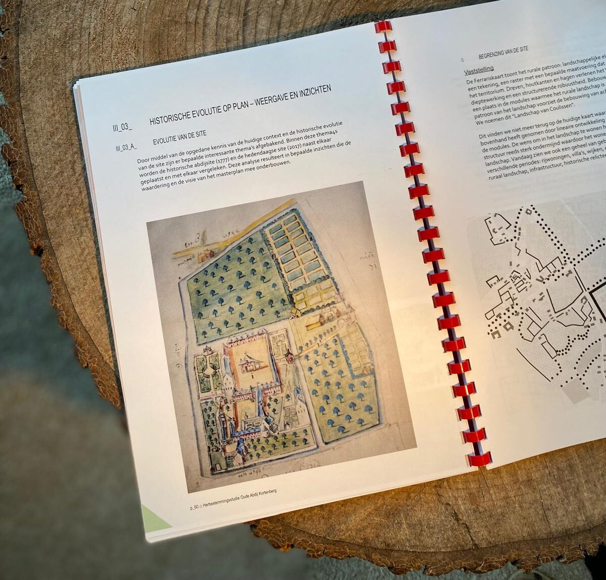 WhatsApp Image 2026-03-11 at 15.32.46 (7)