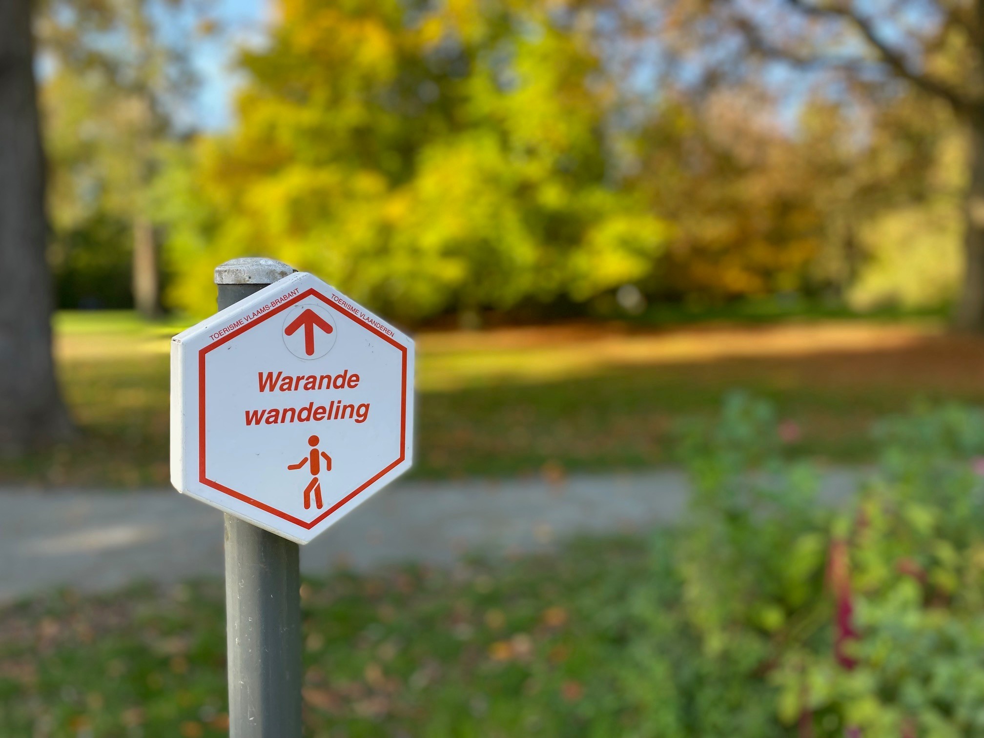 warande wandeling 2